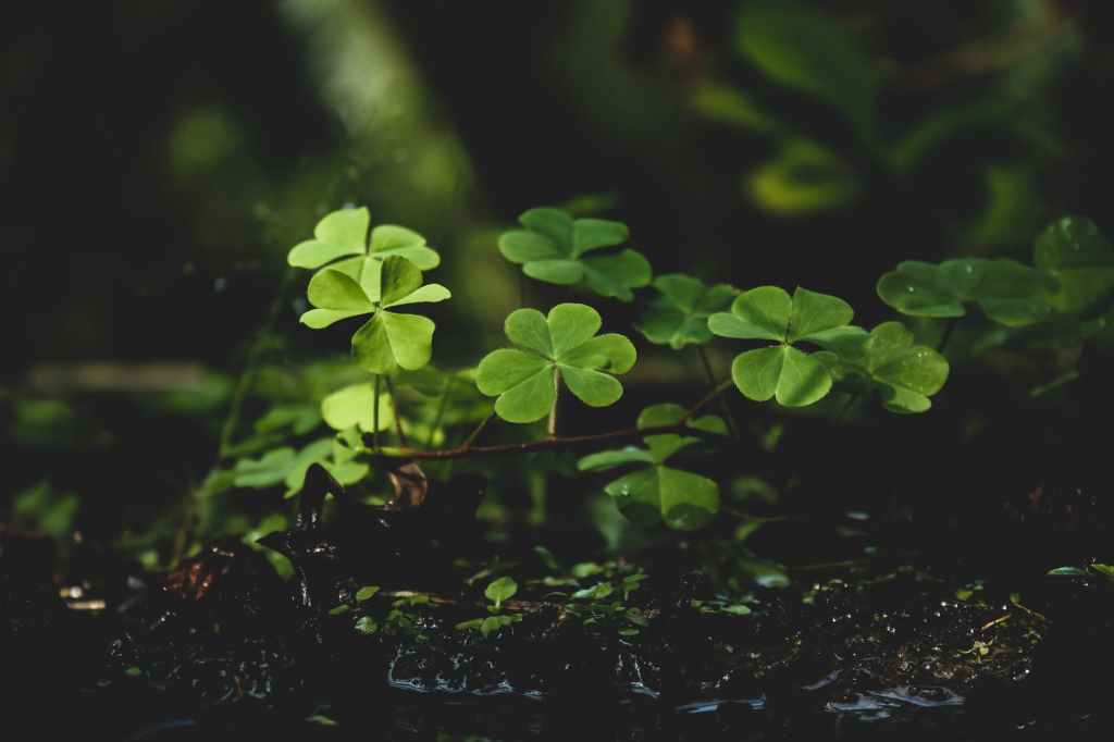 Superstitions & Faith