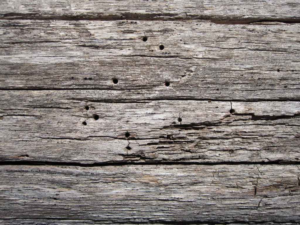 Specks and Planks