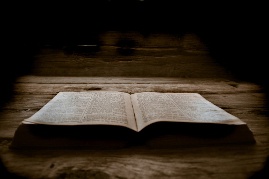 Read Through The Bible in&nbsp;2022